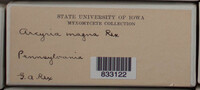 Image Associated With the Occurence